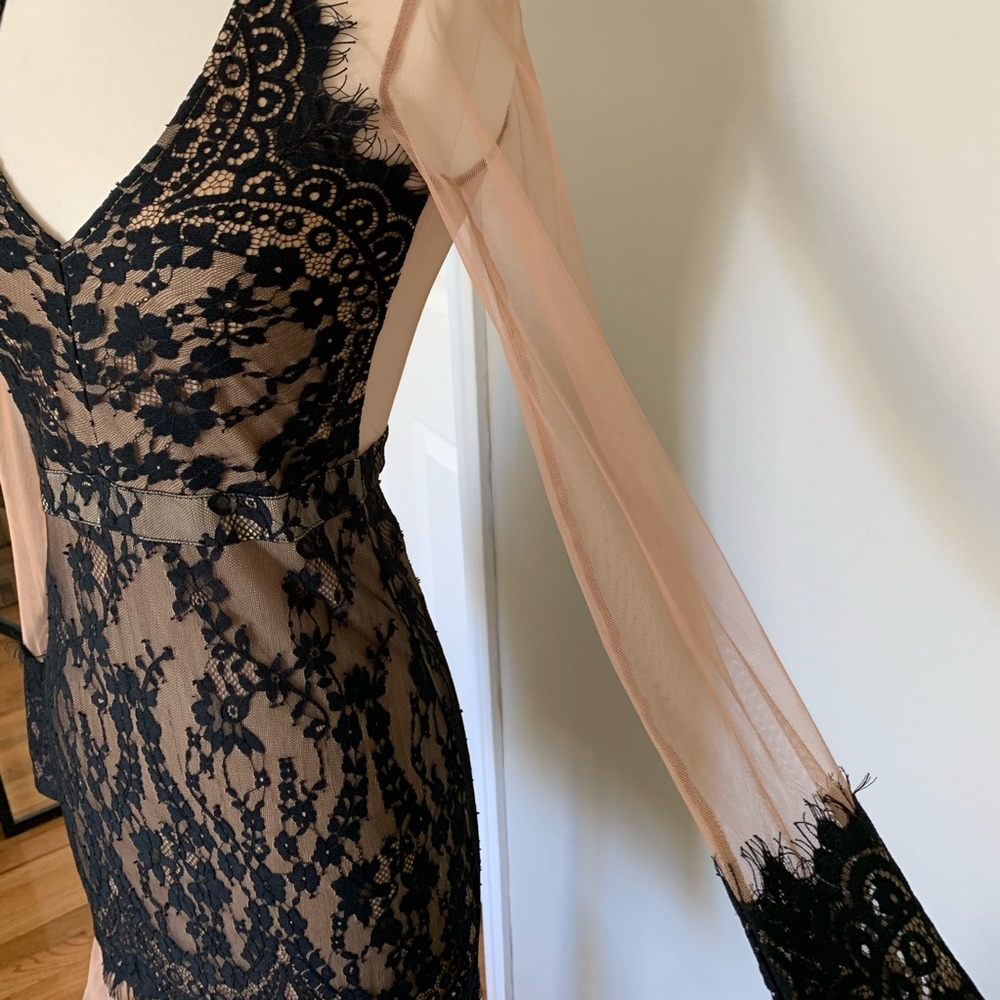 Black Lace and Nude Sheer Dress - Picture 7 of 7